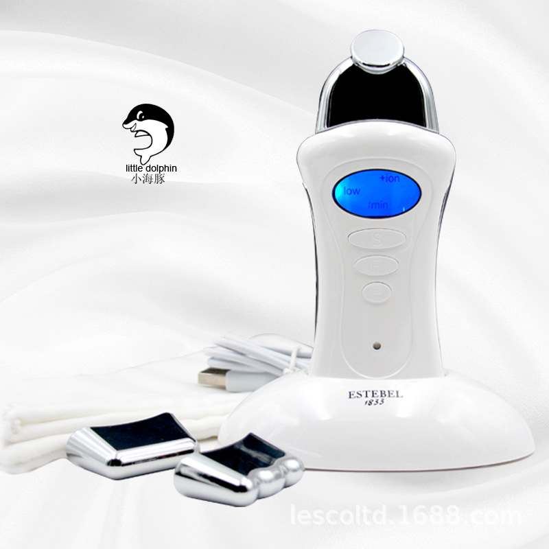 Bio Rechargeable USB Multi-function Beauty Equipment Micro Current Face Lift Beauty Device Galvanic Spa Machine插图7