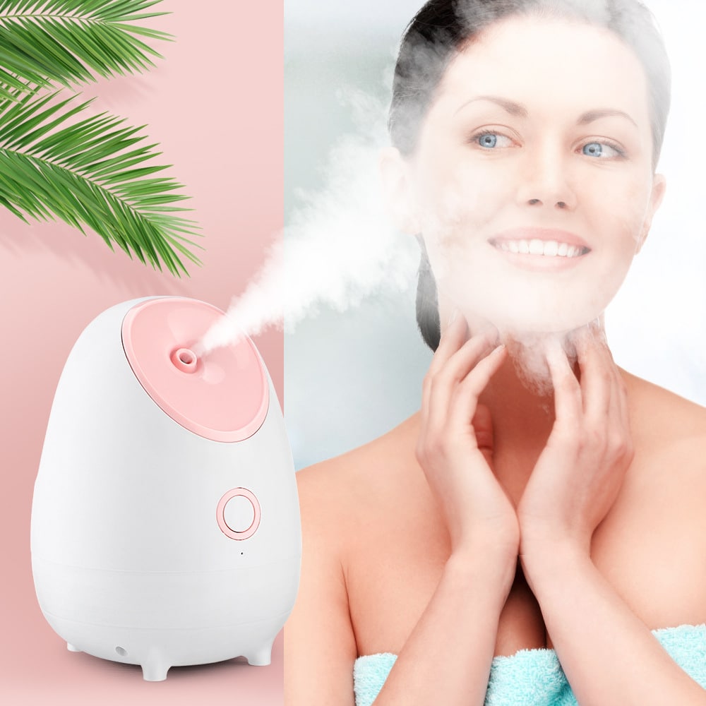Skin Rejuvenation Heating Facial Moisturizing Fruits and Vegetables Beauty Ionic Facial Spray Nano Mist Face Steamer插图4